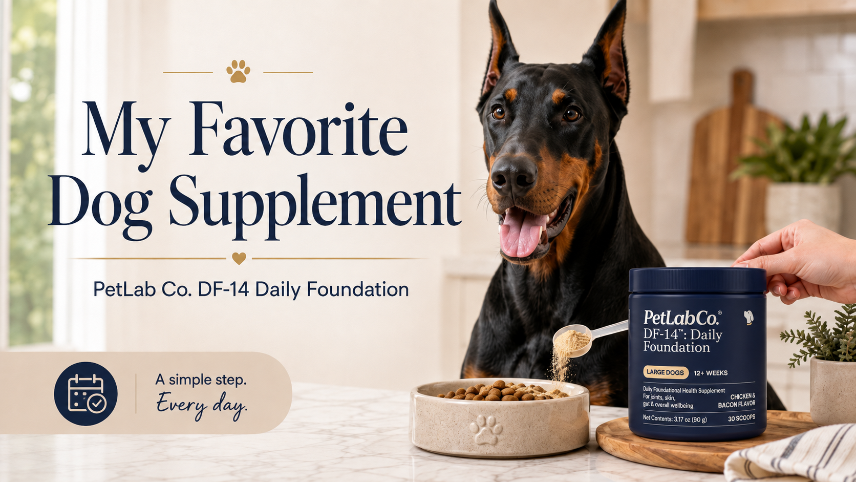 petlab co. df-14:daily foundations with a doberman